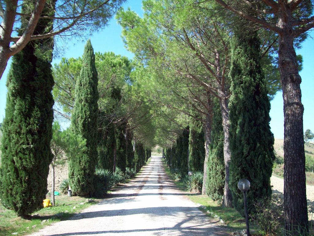 Agriturismo Castello Di Belforte Тоді Екстер'єр фото