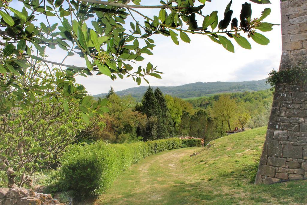 Agriturismo Castello Di Belforte Тоді Екстер'єр фото