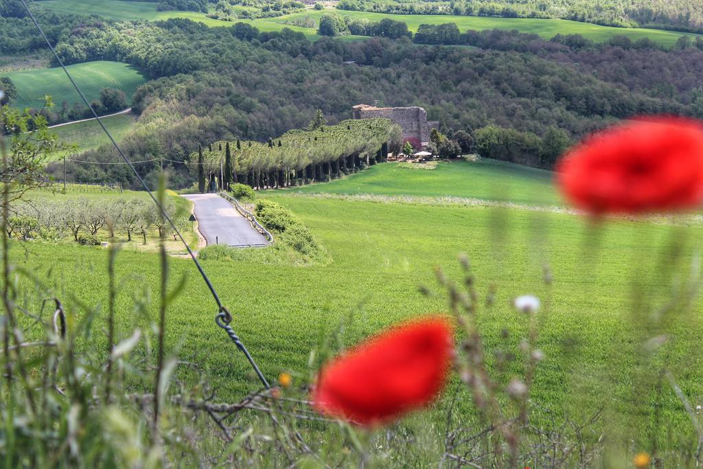 Agriturismo Castello Di Belforte Тоді Екстер'єр фото